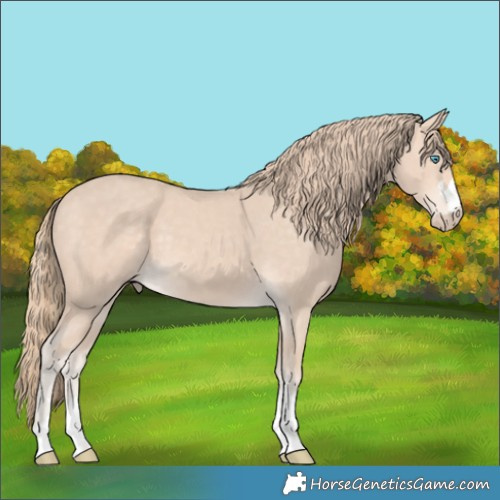 Horse Color:Perlino Rabicano 