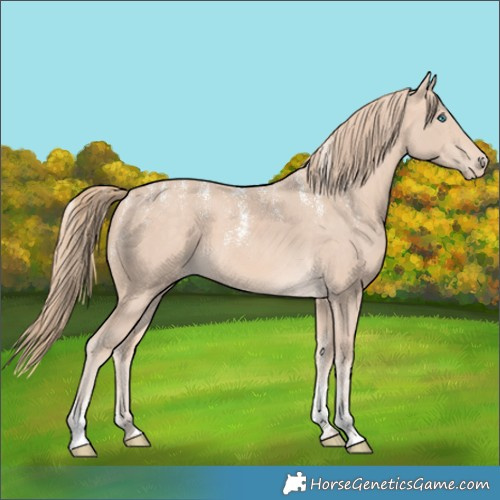 Horse Color:Powder White Perlino