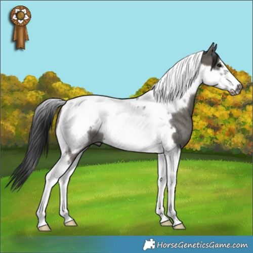 Horse Color:Grullo Tobiano Frame Rabicano