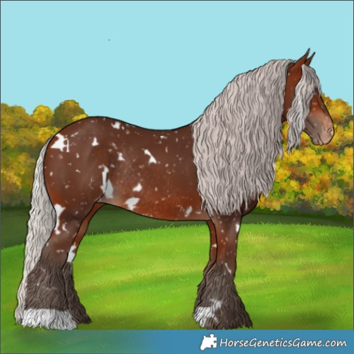 Horse Color:White Spotted Silver Bay Snowflake Varnish Rabicano