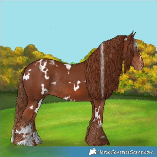 Horse Color:White Spotted Chestnut Varnish Rabicano 