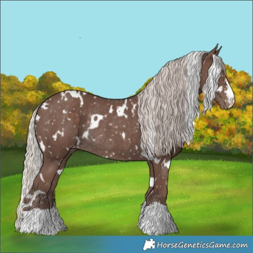 Horse Color:White Spotted Silver Black Snowflake Varnish Rabicano
