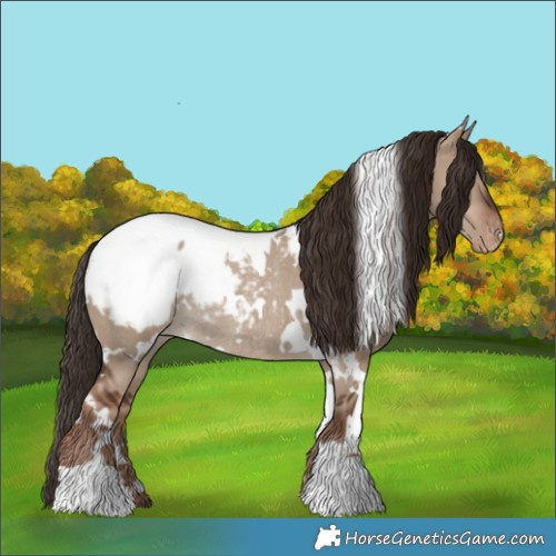 Horse Color:White Spotted Liver Red Dun Snowcap Rabicano