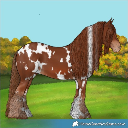 Horse Color:White Spotted Chestnut Varnish 