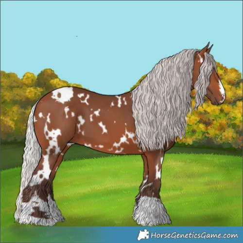 Horse Color:White Spotted Silver Brown