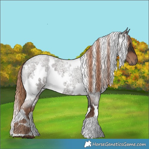Horse Color:White Spotted Liver Red Roan