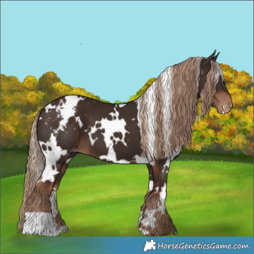 Horse Color:White Spotted Liver Chestnut Varnish 
