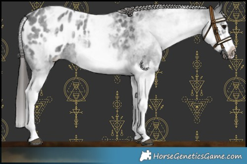 Horse Color:White Spotted Blue Roan Splash Frame Blanket 