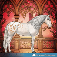 Horse Color:Chestnut Blanket