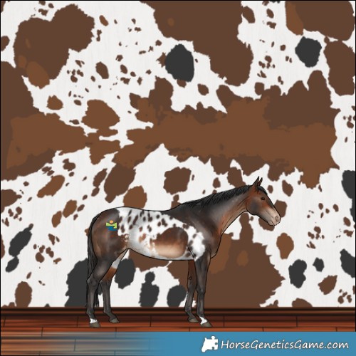Horse Color:Bay Skewed LP Spotted 