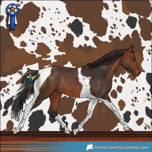 Horse Color:Bay Tobiano Rabicano 