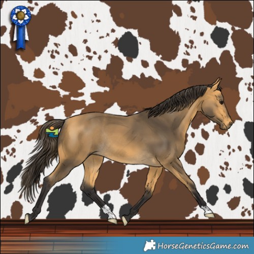 Horse Color:Buckskin Rabicano 