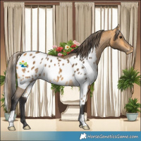 Horse Color:Buckskin Skewed LP Spotted 