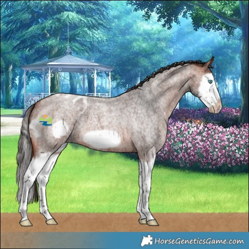 Horse Color:Bay Roan Splash Frame Skewed LP Spotted 