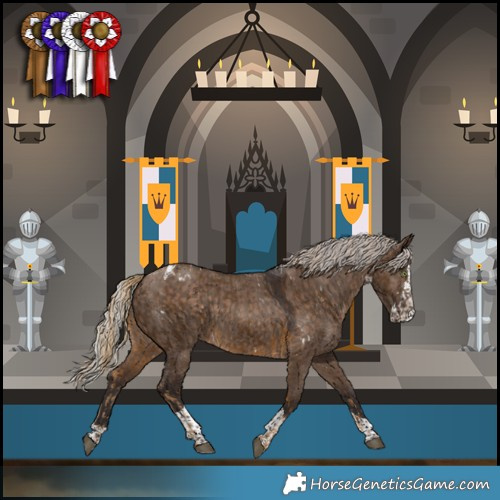 Horse Color:White Spotted Chocolate Palomino Rabicano  and Silver Brown Dun Splash Tobiano Rabicano 