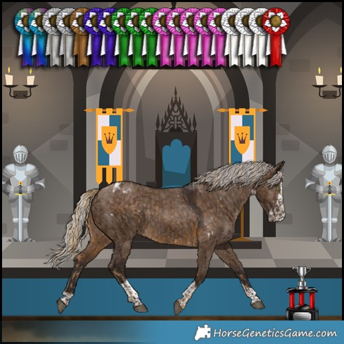 Horse Color:White Spotted Chocolate Palomino Rabicano  and Silver Brown Dun Splash Tobiano Rabicano 