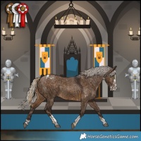 Horse Color:White Spotted Chocolate Palomino Rabicano  and Silver Brown Dun Splash Tobiano Rabicano 