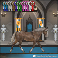 Horse Color:White Spotted Chocolate Palomino Rabicano and Silver Brown Dun Splash Tobiano Rabicano