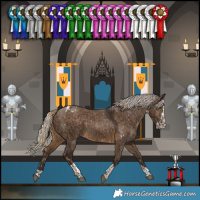 Horse Color:White Spotted Chocolate Palomino Rabicano  and Silver Brown Dun Splash Tobiano Rabicano 
