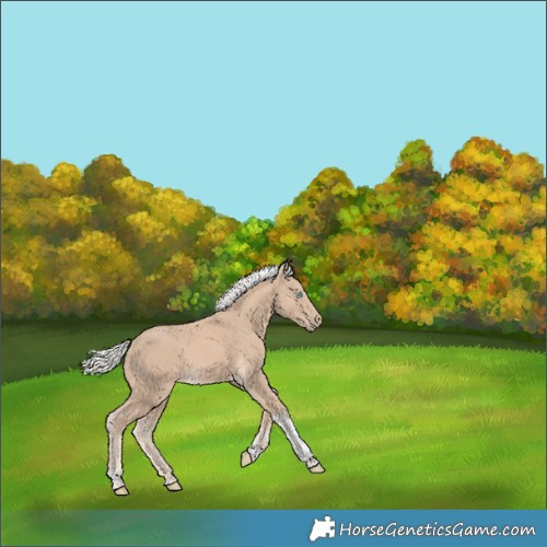 Horse Color:Silver Smoky Creme Tobiano Rabicano 