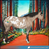 Horse Color:Liver Red Dun Skewed Appaloosa 