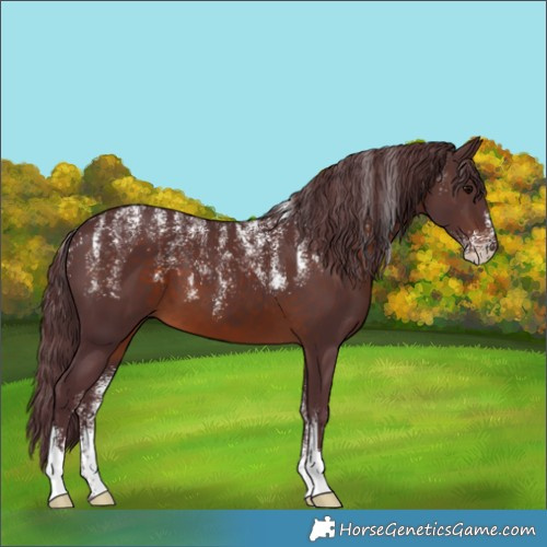 Horse Color:Powder White Chocolate Brown 