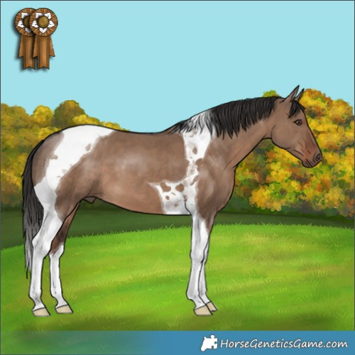 Horse Color:Liver Red Dun Tobiano