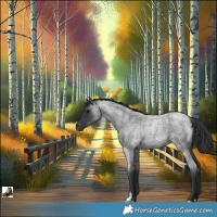 Horse Color:Blue Roan