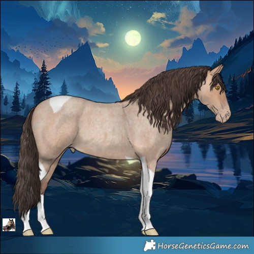 Horse Color:Amber Champagne Roan Tobiano 