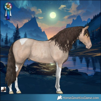 Horse Color:Amber Champagne Roan Tobiano 