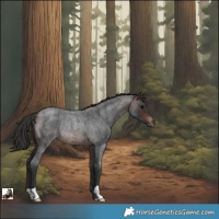 Horse Color:Brown Roan Rabicano