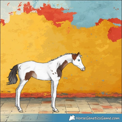 Horse Color:Bay Splash Tobiano Appaloosa