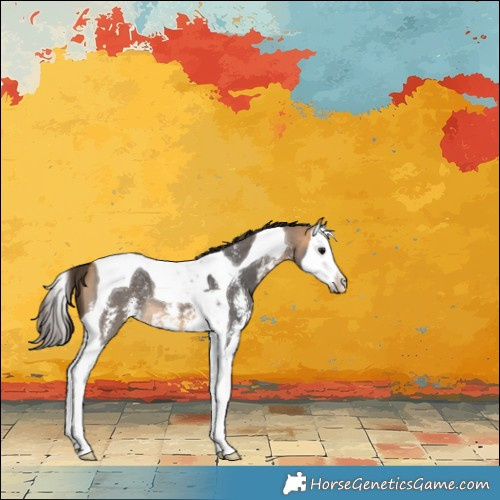 Horse Color:Buckskin Sabino Splash Tobiano