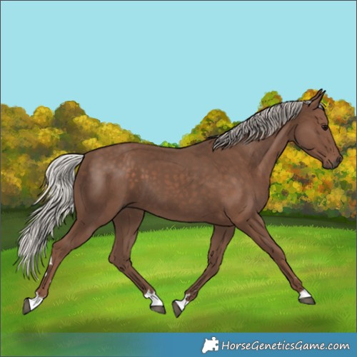 Horse Color:Silver Black 