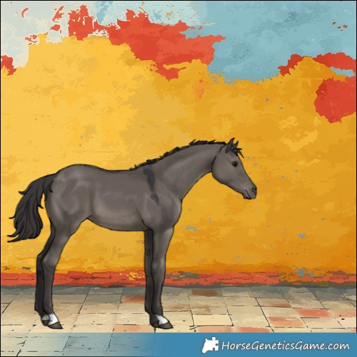 Horse Color:Smoky Grullo 