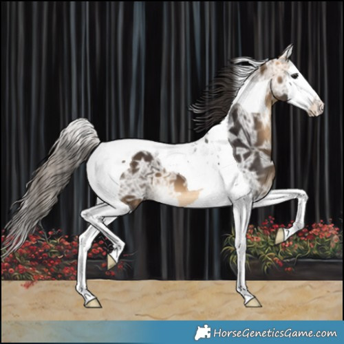Horse Color:Buckskin Ice Splash Tobiano 