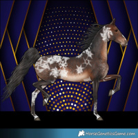 Horse Color:Brown Ice
