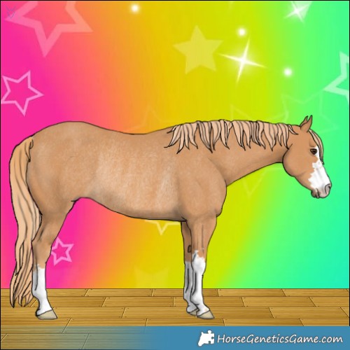 Horse Color:Chestnut Rabicano 
