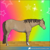 Horse Color:Classic Cream Champagne Rabicano 