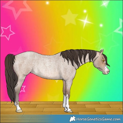 Horse Color:Sable Champagne Roan Rabicano