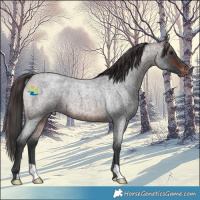 Horse Color:Brown Roan Varnish