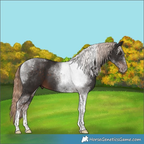 Horse Color:Liver Chestnut Tobiano 