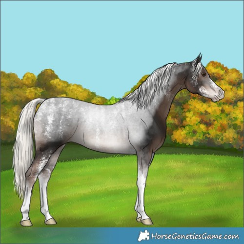 Horse Color:Powder White Liver Chestnut Mushroom Tobiano 