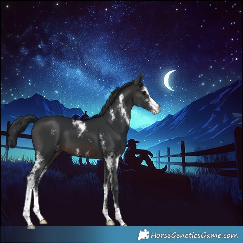 Horse Color:Brown Sabino 