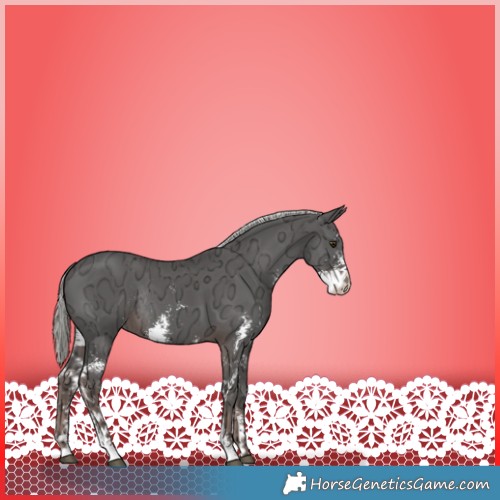 Horse Color:Liver Chestnut Ice Mushroom Sabino Rabicano