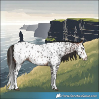 Horse Color:Brown Sabino Splash Near Leopard and Bay Sabino Splash Near Leopard