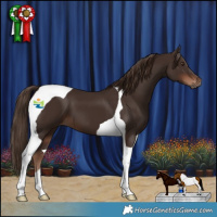 Horse Color:Liver Chestnut Tobiano 