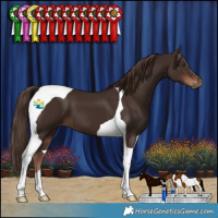 Horse Color:Liver Chestnut Tobiano