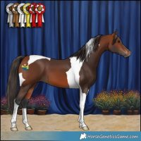 Horse Color:Bay Tobiano
