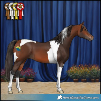Horse Color:Bay Tobiano